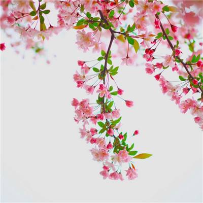 轮回天下无限元宝版下载
